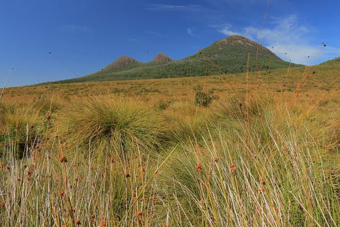 Lake St. Clair And Western Wilderness Active Day Trip From Hobart - Taree Accommodation 11
