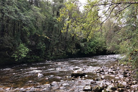 Lake St. Clair And Western Wilderness Active Day Trip From Hobart - Taree Accommodation 4