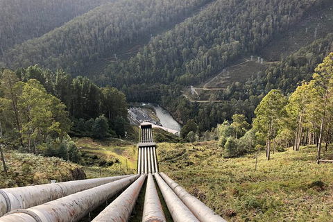 Lake St. Clair And Western Wilderness Active Day Trip From Hobart - Taree Accommodation 3