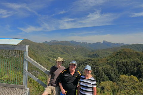 Lake St. Clair And Western Wilderness Active Day Trip From Hobart - Taree Accommodation 7