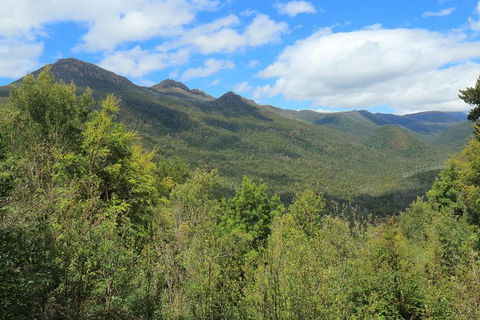 Lake St. Clair And Western Wilderness Active Day Trip From Hobart - Taree Accommodation 13