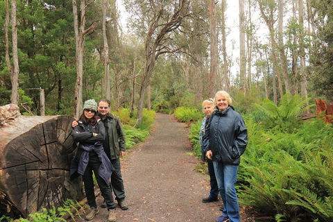 Lake St. Clair And Western Wilderness Active Day Trip From Hobart - Taree Accommodation 8