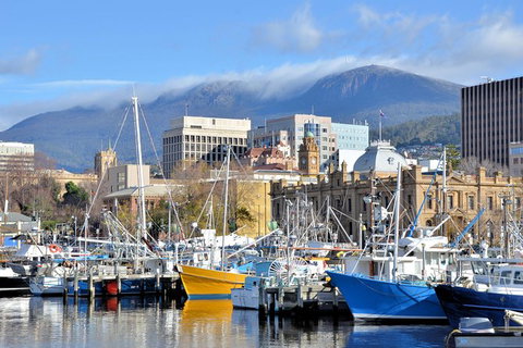 Hobart Shore Excursion: Scenic Highlights Tour - Taree Accommodation 7