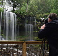 Mt Field and Styx Valley Photography Tour - Taree Accommodation