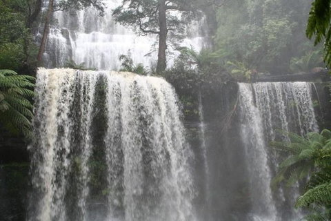 Small-group Tour From Hobart: Derwent River Valley And Coal River Valley - Taree Accommodation 0