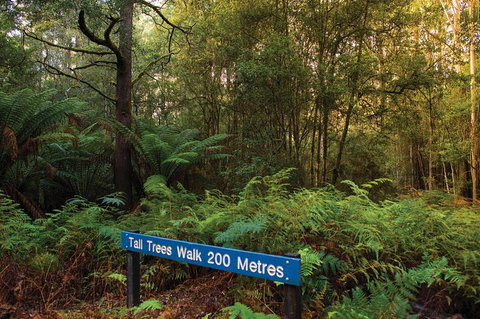 Small-group Tour From Hobart: Derwent River Valley And Coal River Valley - Taree Accommodation 7