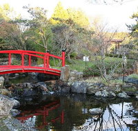 Small-group tour from Hobart Native Flora and Fauna incl. Royal Bot. Gardens - Taree Accommodation