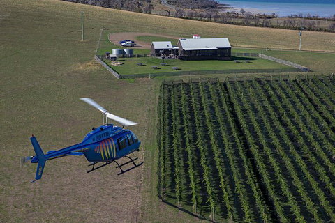 Bangor Vineyard Shed Helicopter Tour - Taree Accommodation 0