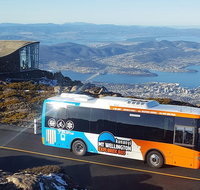 Kunany / Mt Wellington Explorer Bus - 2 Hour Return Tour - Taree Accommodation