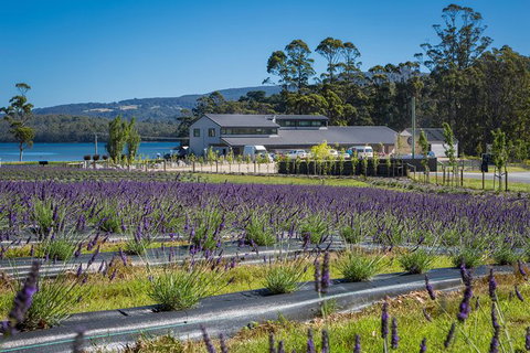 Private Port Arthur Historic Site Day Trip From Hobart - Taree Accommodation 1
