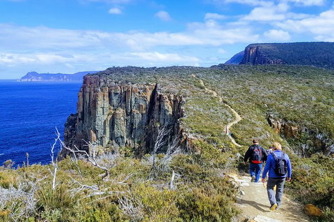 Cape Hauy Hiking Tour - Tasman National Park - Taree Accommodation 0