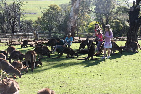 The Port Arthur MEGA Day Trip From Hobart - Taree Accommodation 5