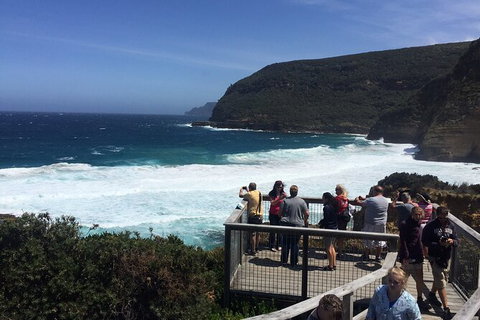 The Port Arthur MEGA Day Trip From Hobart - Taree Accommodation 4