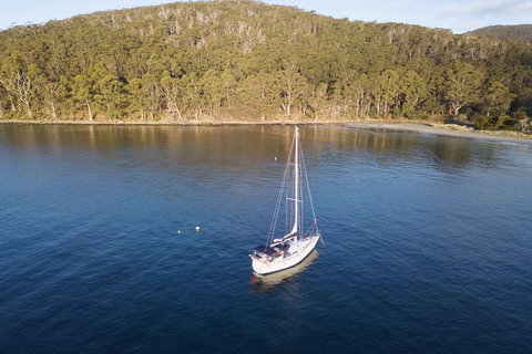 North Bruny Island Day Sail - Taree Accommodation 8