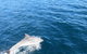 North Bruny Island Day Sail - thumb 3