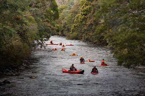 Meander Wilderness Experiences - Taree Accommodation 0