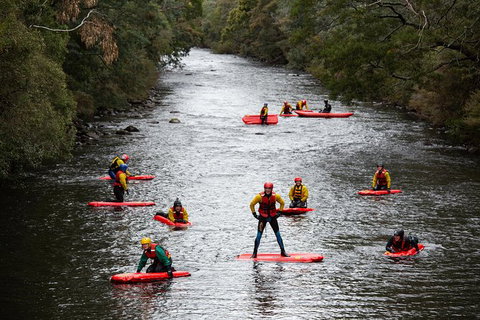 Meander Wilderness Experiences - Taree Accommodation 3