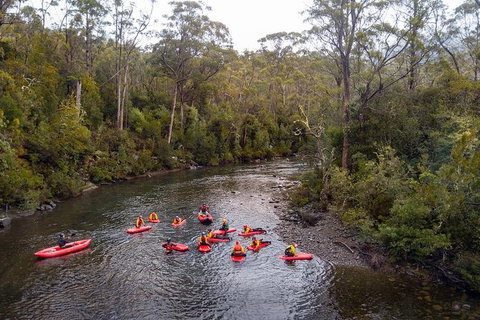 Meander Wilderness Experiences - Taree Accommodation 6