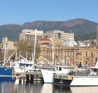 Private Mt Wellington Richmond Bonorong Wildlife Sanctuary Tour from Hobart - Taree Accommodation