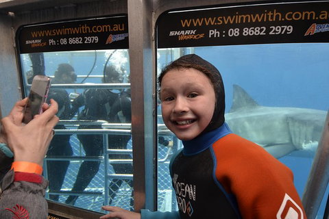 White Shark Tour With Optional Cage Dive From Port Lincoln - Taree Accommodation 8