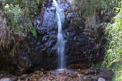 Self-Guided Waterfall Gully To Mount Lofty Hike From Adelaide - Taree Accommodation 2