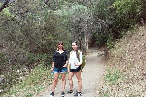 Self-Guided Waterfall Gully To Mount Lofty Hike From Adelaide - Taree Accommodation 4