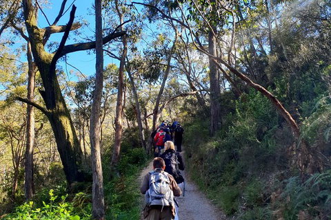 Self-Guided Waterfall Gully To Mount Lofty Hike From Adelaide - Taree Accommodation 7