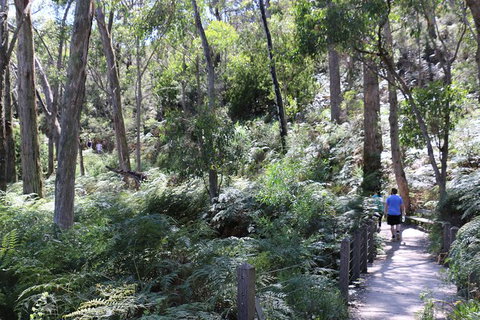 Self-Guided Waterfall Gully To Mount Lofty Hike From Adelaide - Taree Accommodation 3