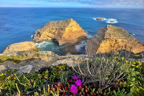 One Day Port Lincoln Tour - Tasting Eyre - Taree Accommodation 1