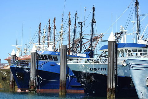 One Day Port Lincoln Tour - Tasting Eyre - Taree Accommodation 8