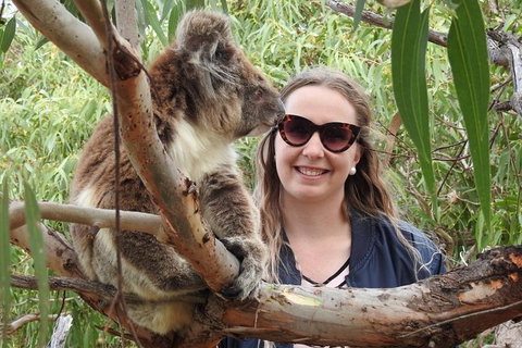 One Day Port Lincoln Tour - Tasting Eyre - Taree Accommodation 2