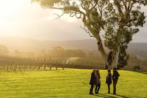 Full-Day Hahndorf And Adelaide Hills Hop-On Hop-Off Tour From Adelaide - Taree Accommodation 4