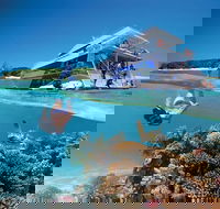 3-Day Southern Great Barrier Reef Tour Including Lady Musgrave Island - Taree Accommodation