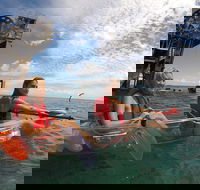 Moreton Island Day Trip Kayak Snorkel  Sandboard frm Brisbane or Gold Coast - Taree Accommodation