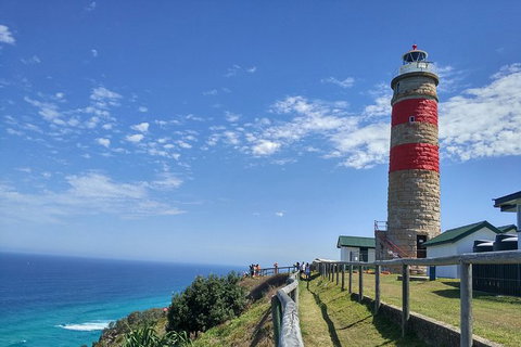 Cape Moreton Scenic 4WD Day Tour From Brisbane Or The Gold Coast - Taree Accommodation 1
