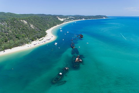 Cape Moreton Scenic 4WD Day Tour From Brisbane Or The Gold Coast - Taree Accommodation 8