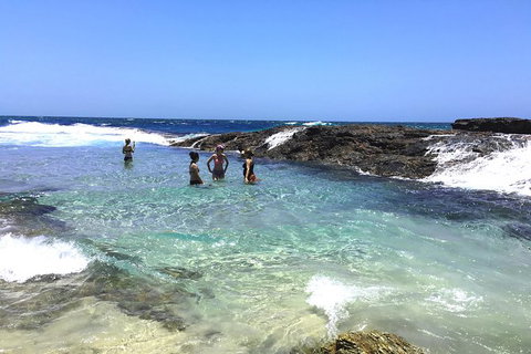 Cape Moreton Scenic 4WD Day Tour From Brisbane Or The Gold Coast - Taree Accommodation 3