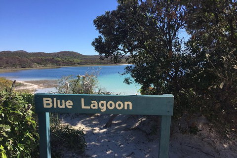 Cape Moreton Scenic 4WD Day Tour From Brisbane Or The Gold Coast - Taree Accommodation 4