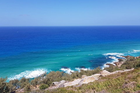 Cape Moreton Scenic 4WD Day Tour From Brisbane Or The Gold Coast - Taree Accommodation 7