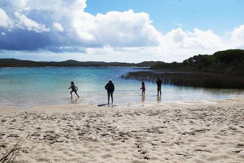 Cape Moreton Scenic 4WD Day Tour From Brisbane Or The Gold Coast - Taree Accommodation 5