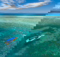 Ocean Safari Great Barrier Reef Experience in Cape Tribulation - Taree Accommodation