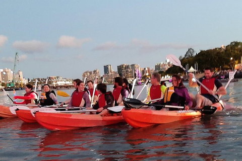 Brisbane River Guided Evening Tour By Kayak - Our Most Popular Tour - Taree Accommodation 4