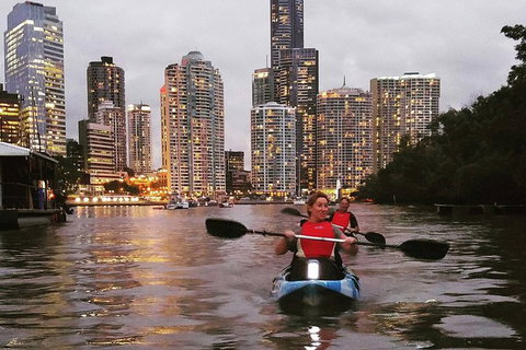 Brisbane River Guided Evening Tour By Kayak - Our Most Popular Tour - Taree Accommodation 2