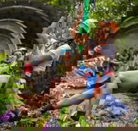 Cape Tribulation Jungle Surfing Canopy Tour - Taree Accommodation