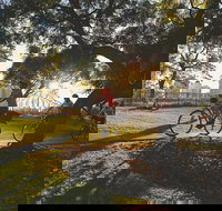 Brisbane Bike Tour - Taree Accommodation