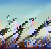 Luxury Movie World Transfers To and From Brisbane CBD Hotel for up to 4 ppl - Taree Accommodation