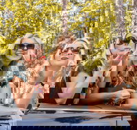 Luxury Brisbane Airport Transfers To and From Surfers Paradise for up to 11 Per - Taree Accommodation