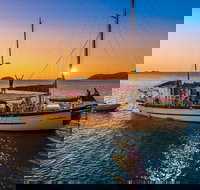 Stray Australia Brisbane to Cairns Freestyle Tour - Taree Accommodation