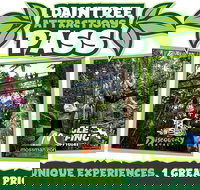 Daintree Atttractions Pass The Best of the Daintree in a Day - Taree Accommodation