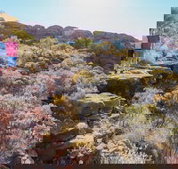 Kings Canyon Day Trip from Ayers Rock - Taree Accommodation